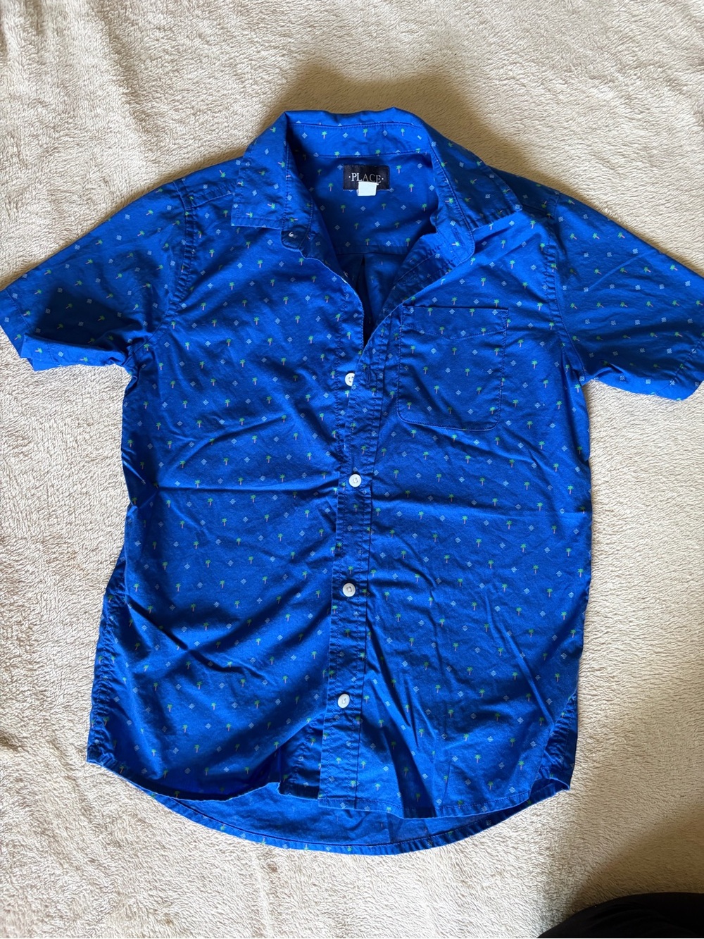 Boys size Large, The Children’s Place button down shirt